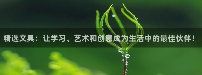 凯时和九游会