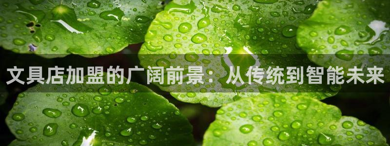 九游会网站赢了