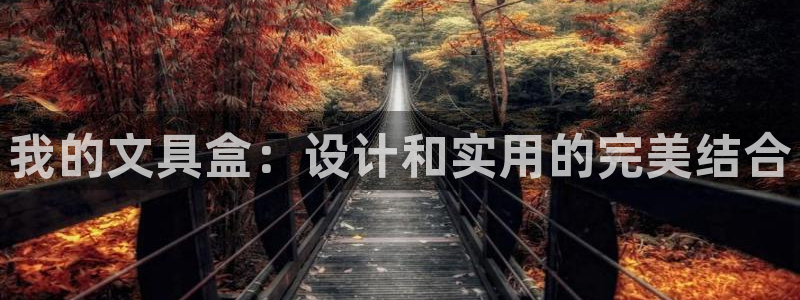 九游会平台怎样：我的文具盒：设计和实用的