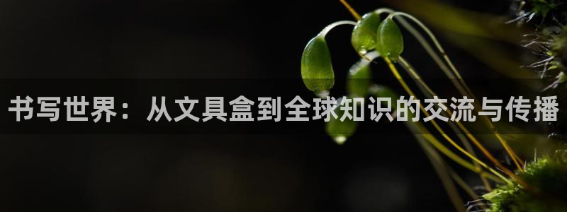 九游会只为非凡：书写世界：从文具盒到全球