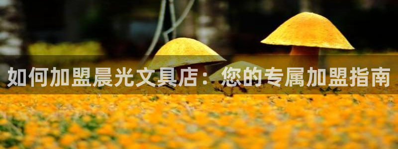 九游会的网址九：如何加盟晨光文具店：您的