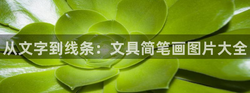 九游会网站多少：从文字到线条：文具简笔画