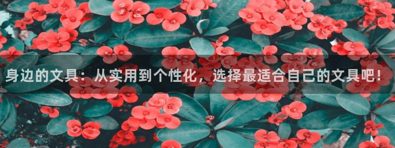 九游和九游会的区别：身边的文具：从实用到