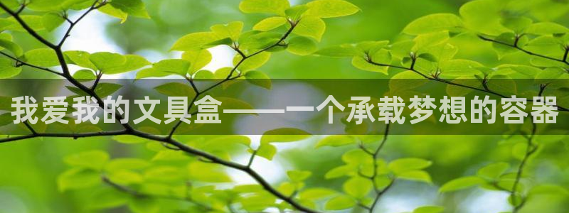 九游会官方首页：我爱我的文具盒——一个承