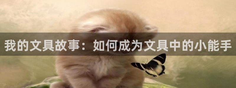 九游会网址登录不上：我的文具故事：如何成