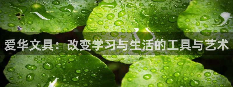 九游会备用网：爱华文具：改变学习与生活的