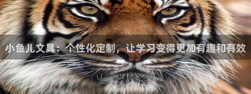 九游会官网平台下载：小鱼儿文具：个性化定