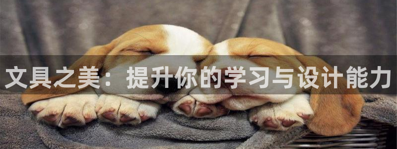 九游会新站：文具之美：提升你的学习与设计