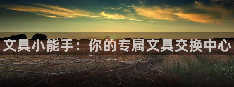 AG娱乐九游会j9：文具小能手：你的专属