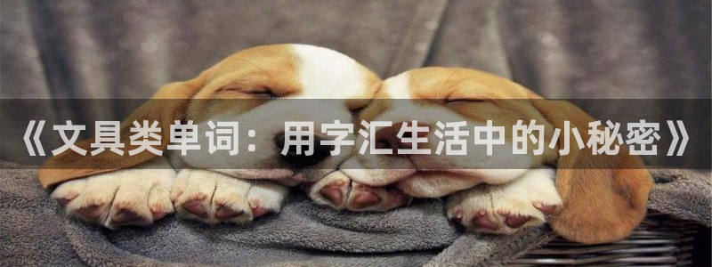 九游会官网手机版入口：《文具类单词：用字