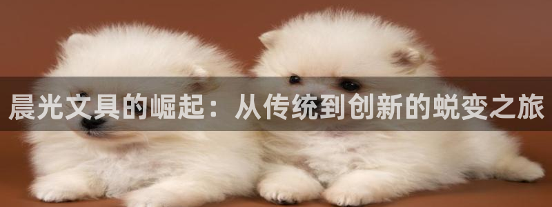 亚洲九游会：晨光文具的崛起：从传统到创新