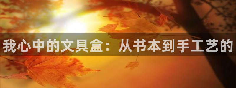 九游会网址最新地址：我心中的文具盒：从书