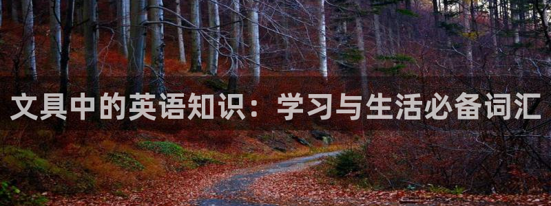 九游会J9登陆入口：文具中的英语知识：学