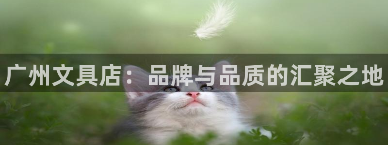 ag九游会登陆j9：广州文具店：品牌与品