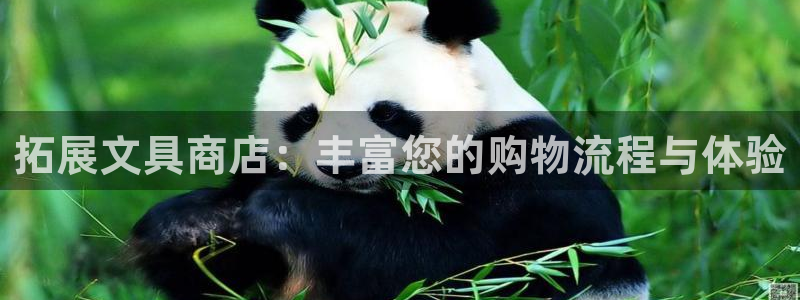 九游会连接：拓展文具商店：丰富您的购物流