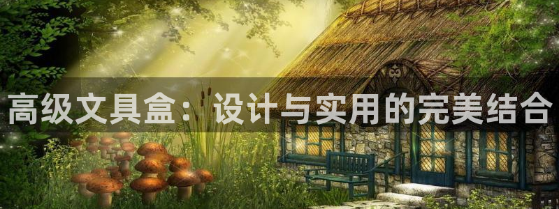 j9九游会老哥：高级文具盒：设计与实用的