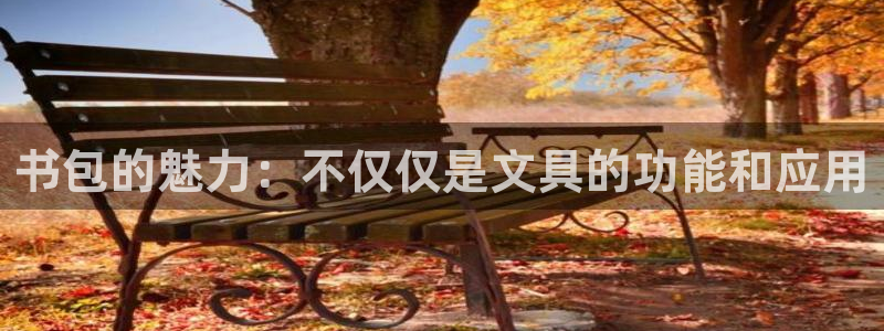 j9九游会app下载：书包的魅力：不仅仅
