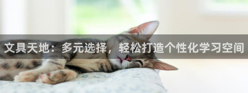 九游会电竞