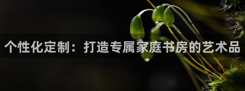 j9九游会老哥