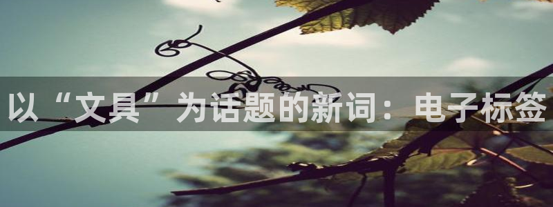 九游会Bitbase：以“文具”为话题的