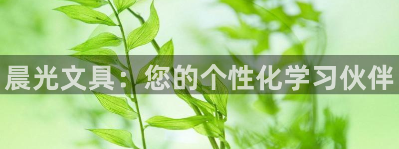 九游会论坛九哥：晨光文具：您的个性化学习