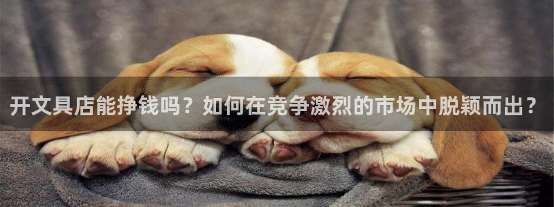 九游会苹果：开文具店能挣钱吗？如何在竞争