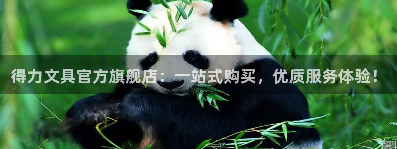 九游会棋牌牌：得力文具官方旗舰店：一站式