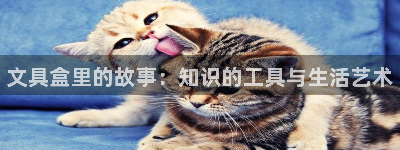 九游会老：文具盒里的故事：知识的工具与生