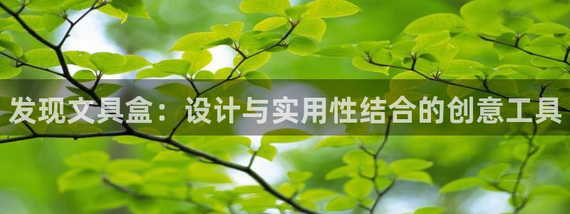 九游会登录入口：发现文具盒：设计与实用性