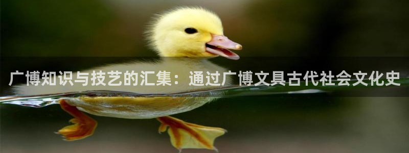 九游会棋牌：广博知识与技艺的汇集：通过广